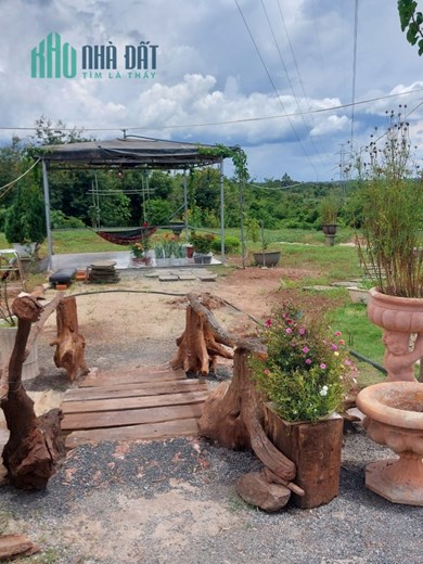 Bán 23000m2 đã quy hoạch đất ở tại Buôn Đôn Đak Lak SHR chỉ 260tr 1 sào. Lh:0977446699