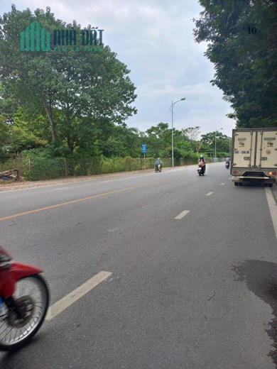 HÀNG HIẾM NGÕ 59 TRẦU QUỲ OTO CÓ XƯỞNG 69M2-3.75 TỶ