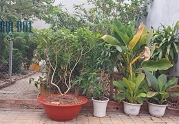 Cho thuê các Mặt bằng đường 160, 494, Man thiện,Tăng Nhơn Phú A, Tp Thủ Đức giá 6tr/1t