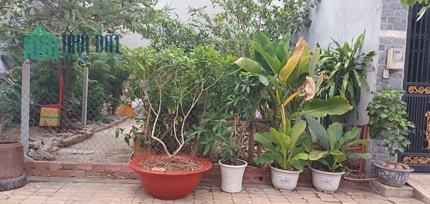 CHO THUÊ ĐẤT ĐƯỜNG 494, 160, MAN THIỆN TP THỦ ĐỨC GIÁ chỉ 6 triệu