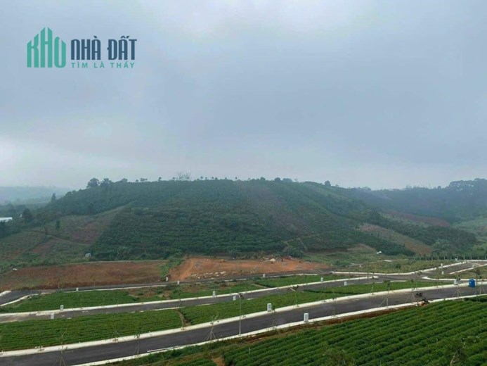 ĐẤT ĐẸP - GIÁ TỐT - Cần Bán Nhanh Lô Đất Vị Trí Đắc Địa Tại Xã Lộc Tân, Bảo Lâm, Lâm Đồng