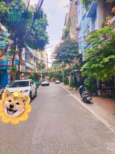 CỰC ĐẸP phân lô, vỉa hè, ô tô tránh, kinh doanh Phạm Tuấn Tài Cầu Giấy 13.6 tỷ