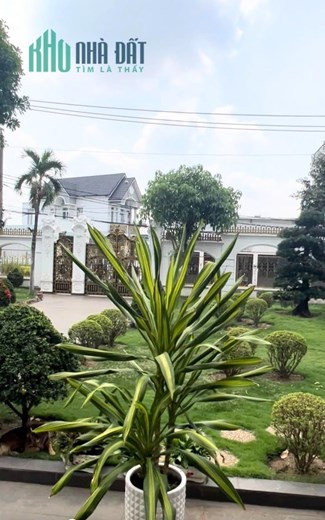 Bán Biệt Thự Sân Vườn 1.527m2 Giá Chưa Tới 40 Triệu Tân Xuân Hóc Môn