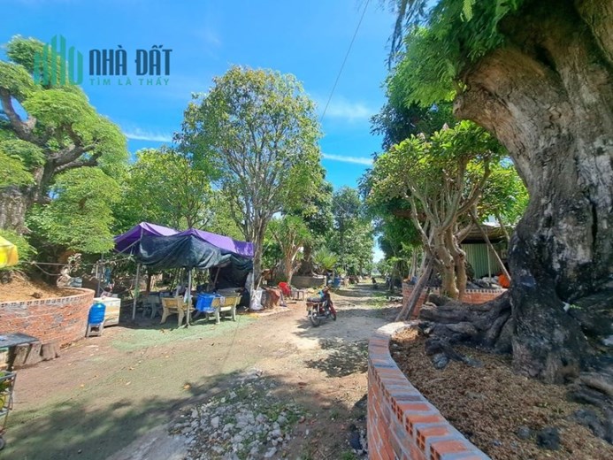 ĐẤT MẶT TIỀN GIÁ CHỈ 10TR/M2 -BÙI CÔNG TRỪNG, HÓC MÔN, GẦN 3000M2