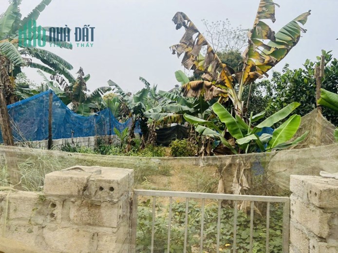 CHỦ CẦN TIỀN NÊN BÁN GẤP 172m trục chính thôn 1 Tân Xã. Mặt tiền hơn 5m nở hậu Gần CNC và Các