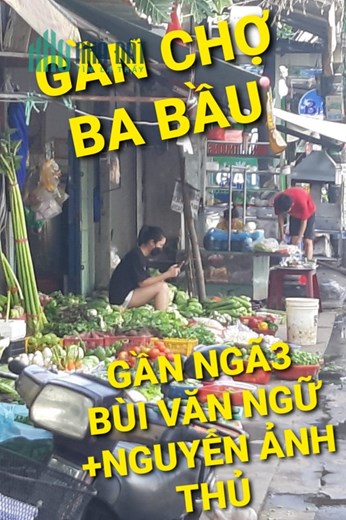 Mặt tiền Kinh Doanh 59m2 có 4 tỷ Thới Tam Thôn Hóc Môn TPHCM