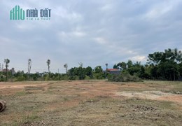 Cho thuê đất Hữu Thủ - Kim Long. DT 6000m2