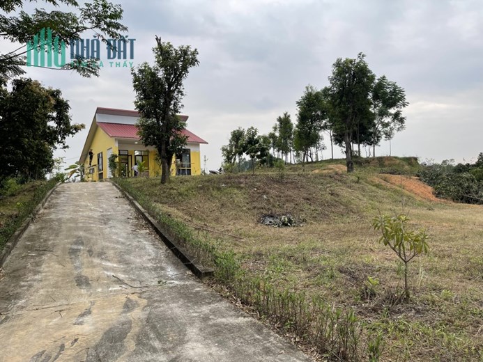 Cho thuê đất Hữu Thủ - Kim Long. DT 6000m2