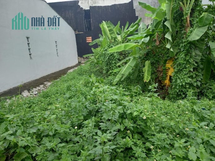 Bán đất Vườn lài P.AP.Đông Quận 12, vuông đẹp, Đường 1.5m, giá chỉ 4.x tỷ