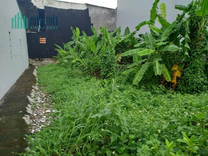 Bán đất Vườn lài P.AP.Đông Quận 12, vuông đẹp, Đường 1.5m, giá chỉ 4.x tỷ