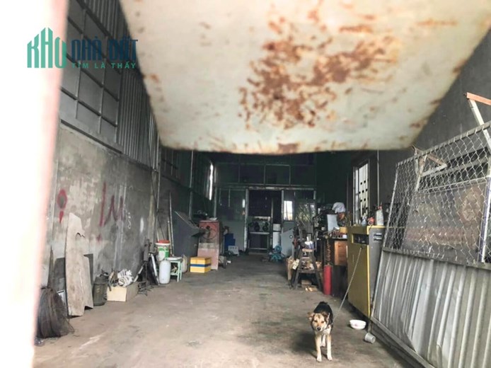 Bán Kho Xưởng 250m2 Ngang 11M Đường Lớn Thới Tam Thôn Hóc Môn