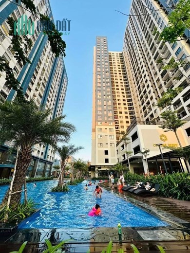* CHO THUÊ CĂN HỘ CHARM CITY PHƯỜNG DĨ AN TP DĨ AN TỈNH BÌNH DƯƠNG *
