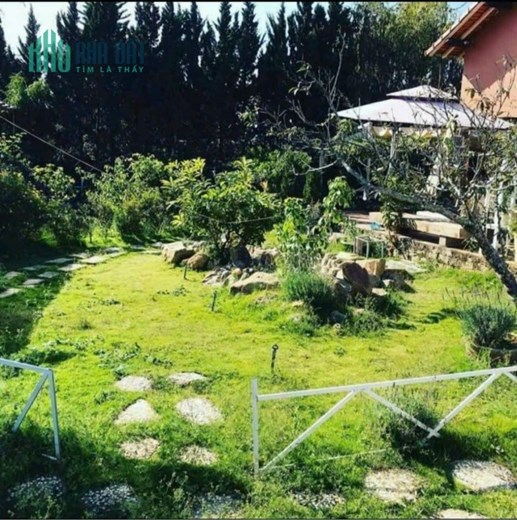 Bán biệt thự sân vườn mặt tiền Tô Hiệu Đà lạt 409m2