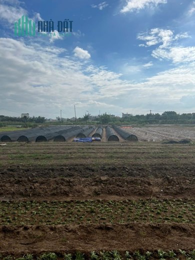 Bán lô đất Biệt Thự 225 M ngang 9 tái định cư quân khu Nam Hải Hải An