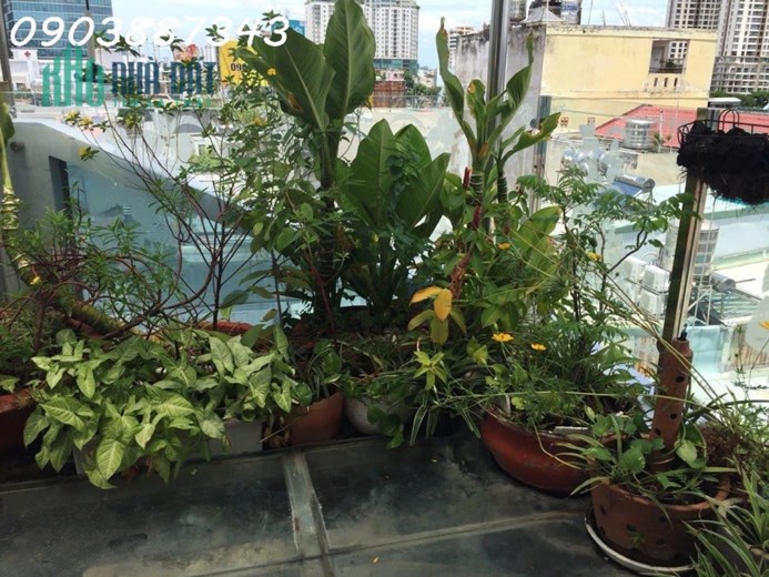 Bán Tòa Nhà Chính Chủ HXH đường Calmette - Quận 1 - 7Tầng - 80m2- Gía Chỉ 20Tỷ Hơn.