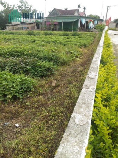 Chính chủ cần bán 850m2 đất tại Thị trấn Thạch Hà, Hà Tĩnh, giá đầu tư