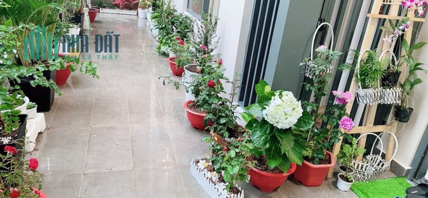 Chính chủ cần bán căn Ak1 - 03.01 Diện tích 84m², 2PN 2WC, có thêm diện tích sân vườn 20m, tổng