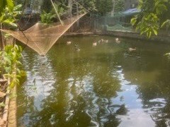 Chính chủ cần bán nhanh Lô đất 2 mặt tiền sát dự án đô thị Kosy 1 Gia Sàng – Tp Thái Nguyên – Tỉnh