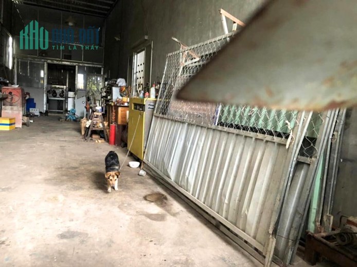 Bán Đất 250m2 Ngang 11M Đường Lớn 8M Thới Tam Thôn Hóc Môn