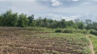 CHÍNH CHỦ BÁN 5000M2 ĐẤT SỔ ĐỎ NGAY BVĐK SÓC TRĂNG