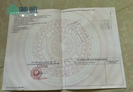 Bán 250m2 đất full thổ tại Châu Thành, Trà Vinh SHR 560tr. Lh;0972989800