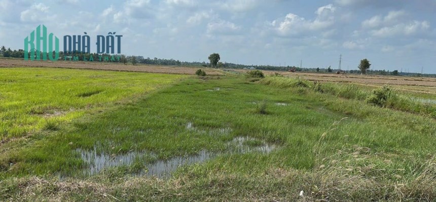 Bán 250m2 đất full thổ tại Châu Thành, Trà Vinh SHR 560tr. Lh;0972989800