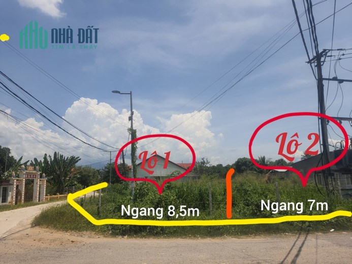 💰đồng giá 1tỷ250tr/mỗi lô. Giờ cần tiền gấp bán giảm thêm 250tr/lô.Đường ô tô thông rộng 8m,Quy