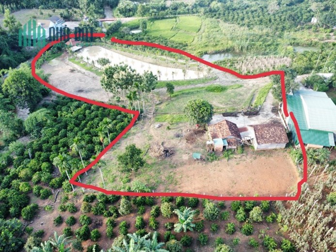 CHÍNH CHỦ BÁN ĐẤT TẶNG NHÀ CẤP 4 VIEW ĐẸP NHẤT ĐĂK NÔNG