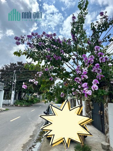 Bán nhà biệt thự vườn,9x50m,ds36,hòa long,bà rịa,giá:hơn 4,xt