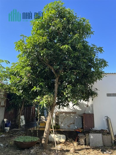 Bán nhà biệt thự vườn,9x50m,ds36,hòa long,bà rịa,giá:hơn 4,xt