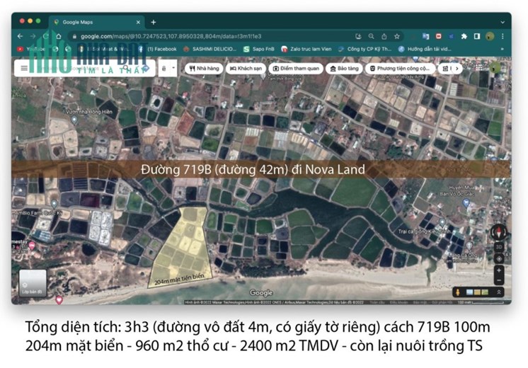 Cần Bán 3.3 Mẫu Đất Biển Tại Thanh Phong, Tân Thuận, Hàm Thuận Nam - Giá Đầu Tư