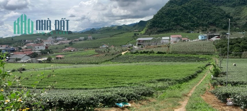 Cần bán lô đất đẹp tại Thị Trấn NT Mộc Châu,Huyện Mộc Châu,Tỉnh Sơn La