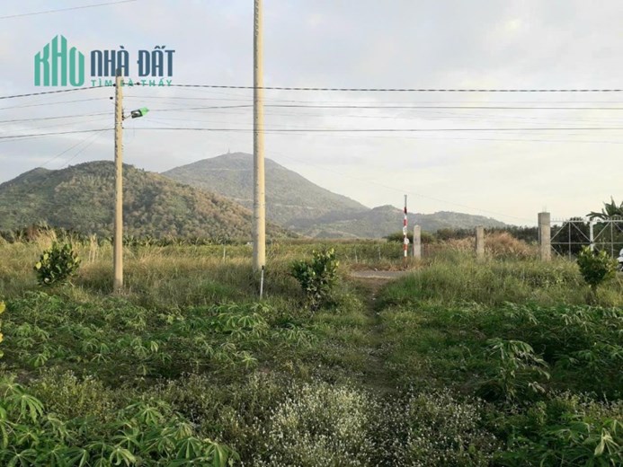 ĐẤT CHÍNH CHỦ - GIÁ TỐT - Tại Ấp Thạnh Lợi, Xã Thạnh Tân, TP Tây Ninh, Tây Ninh