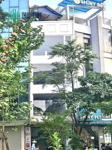Chính Chủ Nhờ Cho Thuê Nhà Riêng KD mặt phố Hoàng Cầu, quận Đống Đa