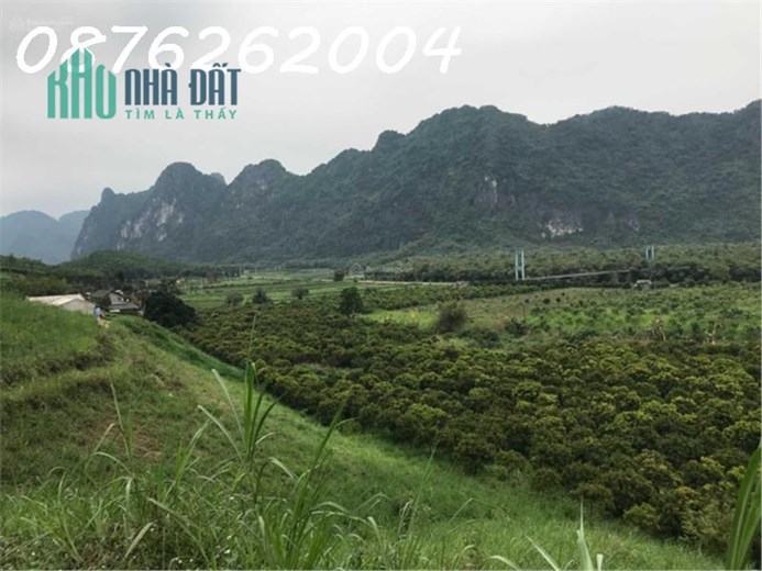 Chính chủ cần bán đất trang trại, khu nghỉ dưỡng 70.000m2 tại Lạc Thủy, Hòa Bình - Giá 1X tỷ