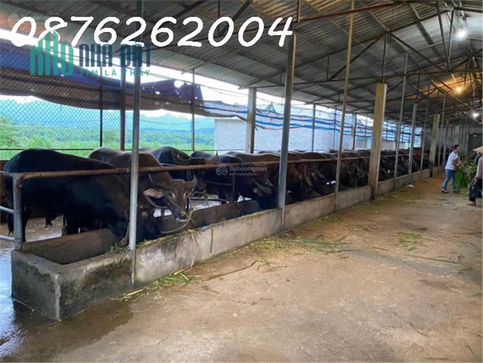 Chính chủ cần bán đất trang trại, khu nghỉ dưỡng 70.000m2 tại Lạc Thủy, Hòa Bình - Giá 1X tỷ