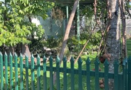 CHÍNH CHỦ CẦN BÁN NHÀ  XƯỞNG Ở  ĐƯỜNG 6B  VĨNH LỘC , BÌNH CHÁNH , TPHCM