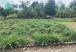 (Giá lợn chết) bán 122m đất KCN Sạch Minh Trí Sóc Sơn, mặt tiền 6m, oto vào đất