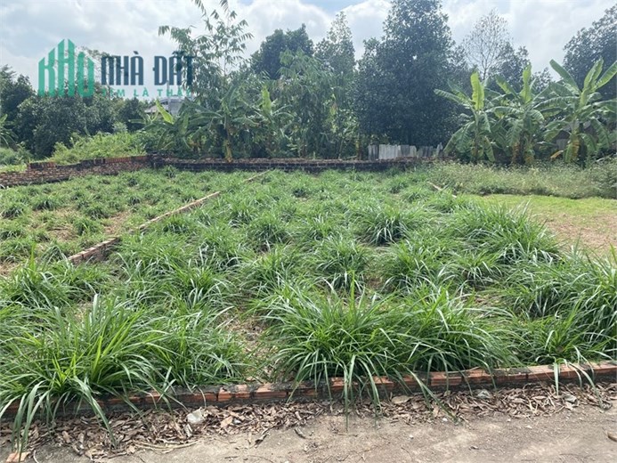 (Giá lợn chết) bán 122m đất KCN Sạch Minh Trí Sóc Sơn, mặt tiền 6m, oto vào đất
