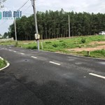 Bán Sỉ 30 lô sẵn sổ, full thổ cư, đường nhựa thuộc Thống Nhất Đồng Nai 9xxtr