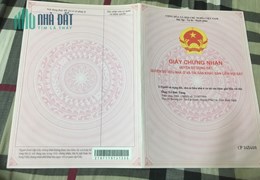 CHÍNH CHỦ BÁN ĐẤT THỔ CƯ 6500M2 VÀ 500M2(SẴN NHÀ CẤP 4) TẠI BÌNH ĐỊNH. LH:0908684522