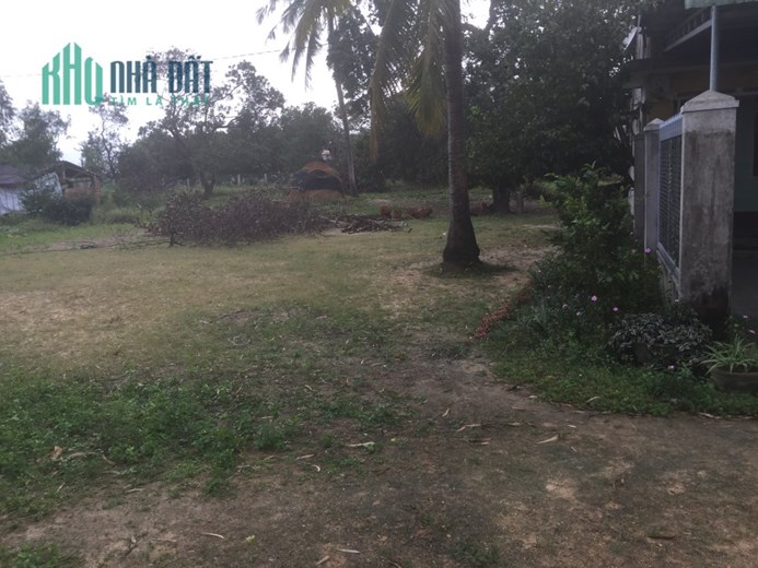 CHÍNH CHỦ BÁN ĐẤT THỔ CƯ 6500M2 VÀ 500M2(SẴN NHÀ CẤP 4) TẠI BÌNH ĐỊNH. LH:0908684522