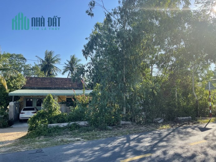 CHÍNH CHỦ BÁN ĐẤT THỔ CƯ 6500M2 VÀ 500M2(SẴN NHÀ CẤP 4) TẠI BÌNH ĐỊNH. LH:0908684522