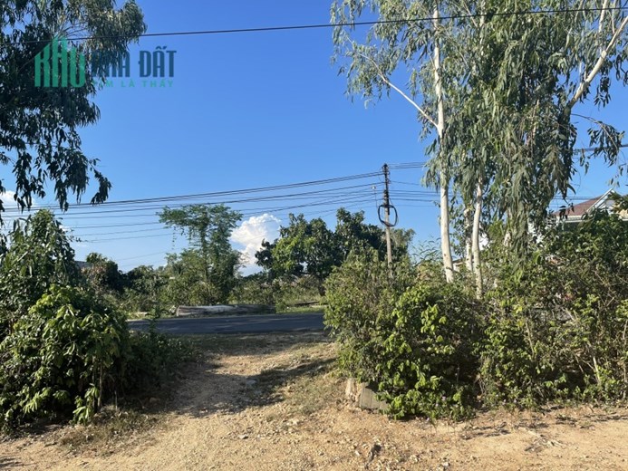 CHÍNH CHỦ BÁN ĐẤT THỔ CƯ 6500M2 VÀ 500M2(SẴN NHÀ CẤP 4) TẠI BÌNH ĐỊNH. LH:0908684522