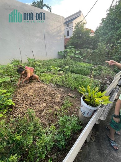 Chính chủ bán 39m2 đất Bích Hòa,Thanh oai,ngõ to,gần đường oto
