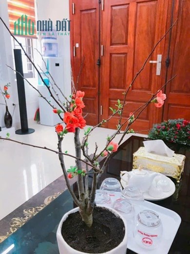 Bán nhà 3 tầng còn mới xây thôn Du Nội, Đông Anh. oto vào ngôi nhà. dt 80m. lh:0914200366