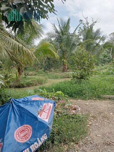 ĐẤT ĐẸP - GIÁ TỐT - CẦN BÁN GẤP Lô Đất Tại huyện Tam Bình , Vĩnh Long - Giá Đầu Tư