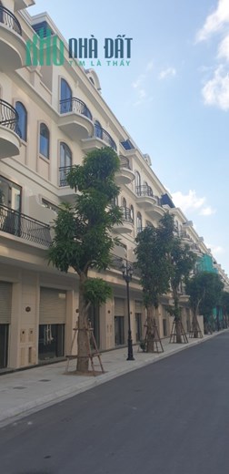 Bán cắt lỗ liền kề 120m2, 127m2, 180m2, 241m2 Vinhomes Ocean Park 2 Hưng Yên.