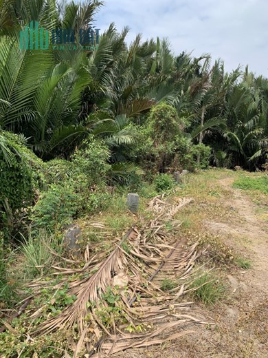 Cần bán nhanh lô đất ở Nhà bè, giá rẻ.