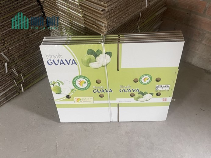Giá rẻ nhất Nhà Bè!!! Cho thuê nhà 2 lầu NineSouth ,Phước Kiển, Nhà Bè, Hồ Chí Minh